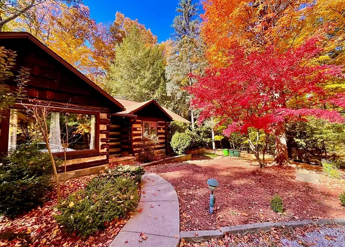 Log Cabin - Natures Oasis - Fire Pit & Gazebo