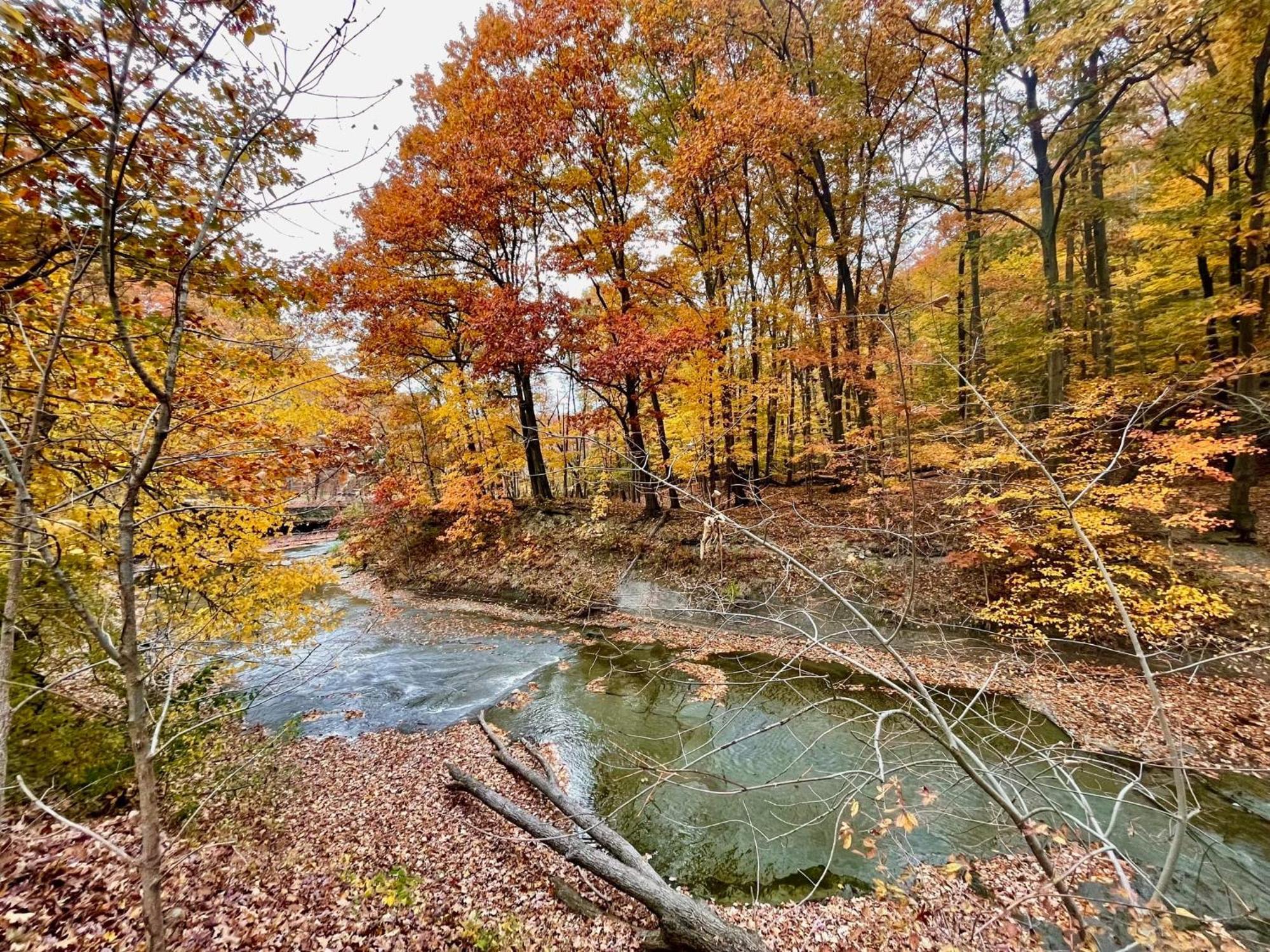 Hébergement de vacances Log - Natures Oasis - Fire Pit & Gazebo